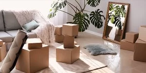 Removalist costs for different types of moving