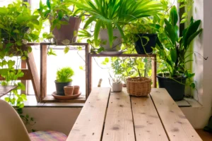 Indoor Garden – Growing Love